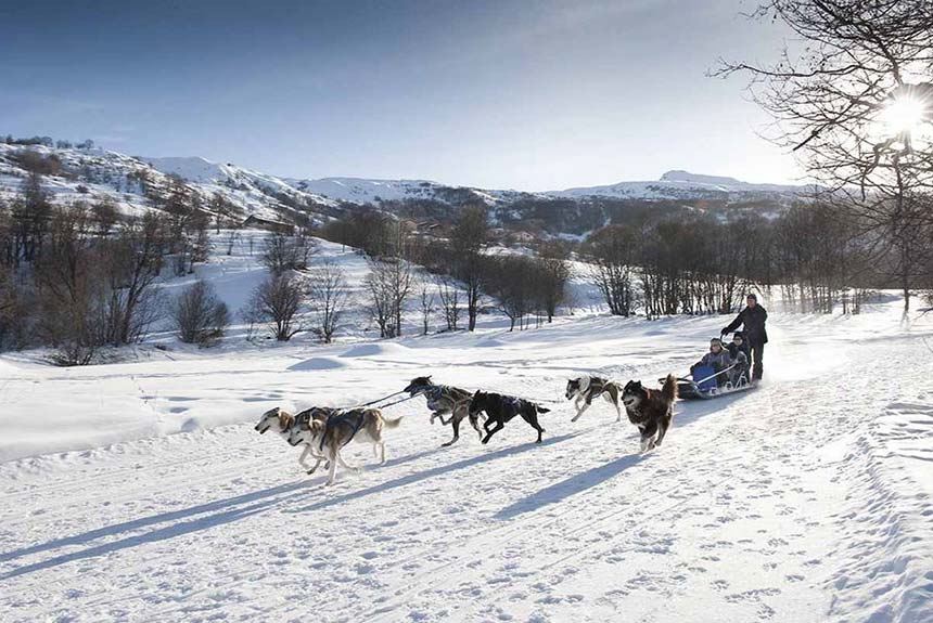 Easter is the perfect time to enjoy Dog Sledding in St Martin de Belleville