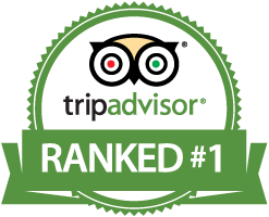 Snow Trippin are ranked Number 1 on Trip Advisor